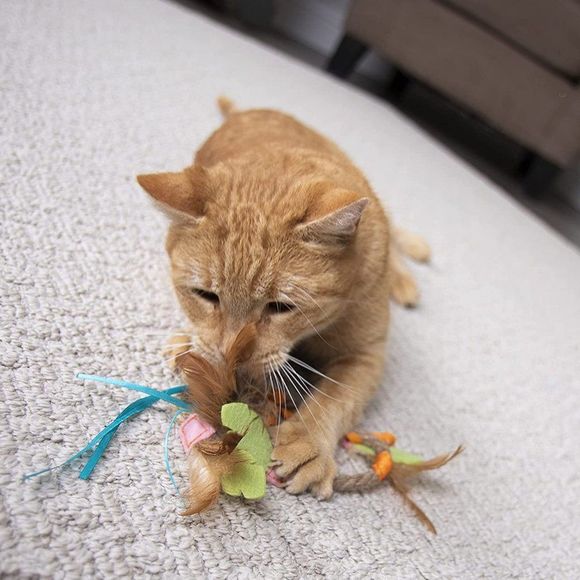 SmartyKat Dream Dangler 2-in-1 Hanging Feather Cat Toy - Picture 3 of 4